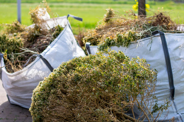 Best Junk Hauling Services  in Jal, NM