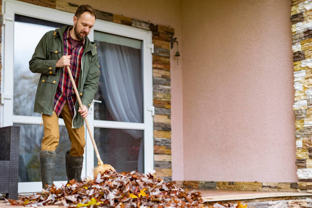 Best Basement Cleanout Services  in Jal, NM